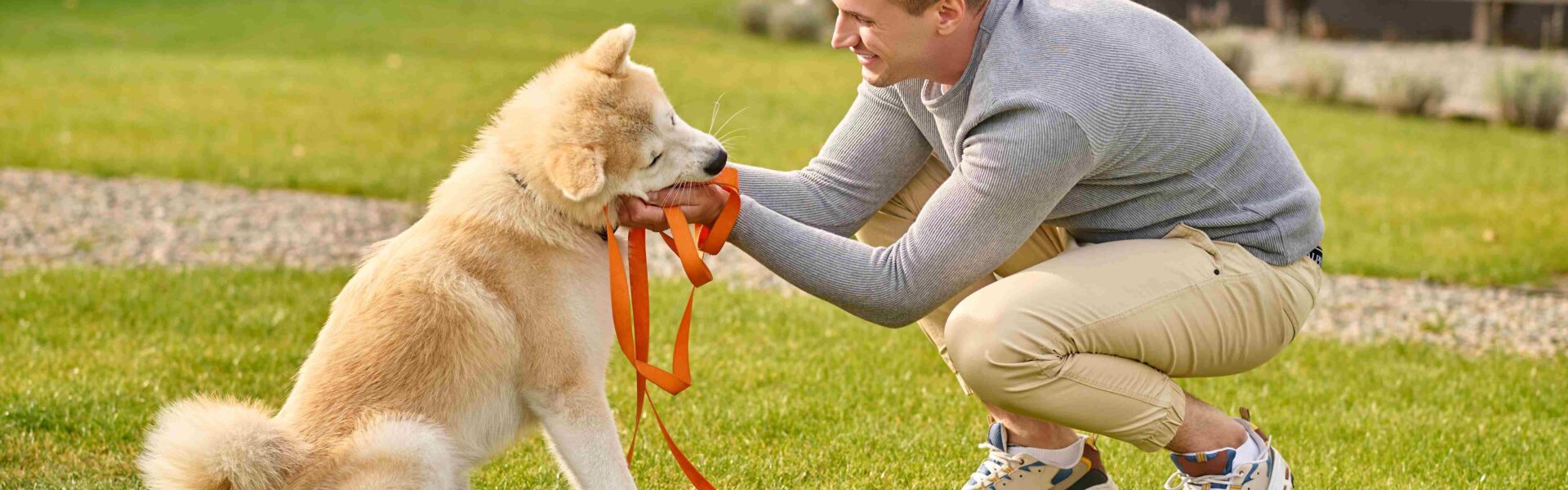 Why Professional dog training in Dubai Improves Long-Term Behavior