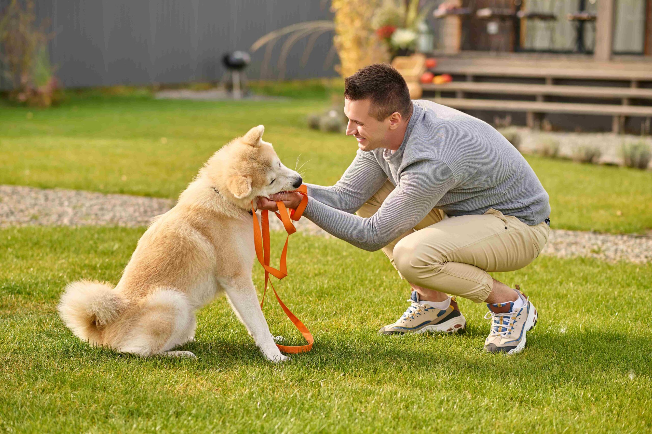 Why Professional dog training in Dubai Improves Long-Term Behavior